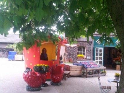 Foto: Spargelhof Schulte-Scherlebeck