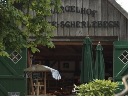 Foto: Spargelhof Schulte-Scherlebeck